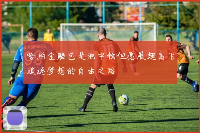 哈珀金鳞岂是池中物但愿展翅高飞追逐梦想的自由之路